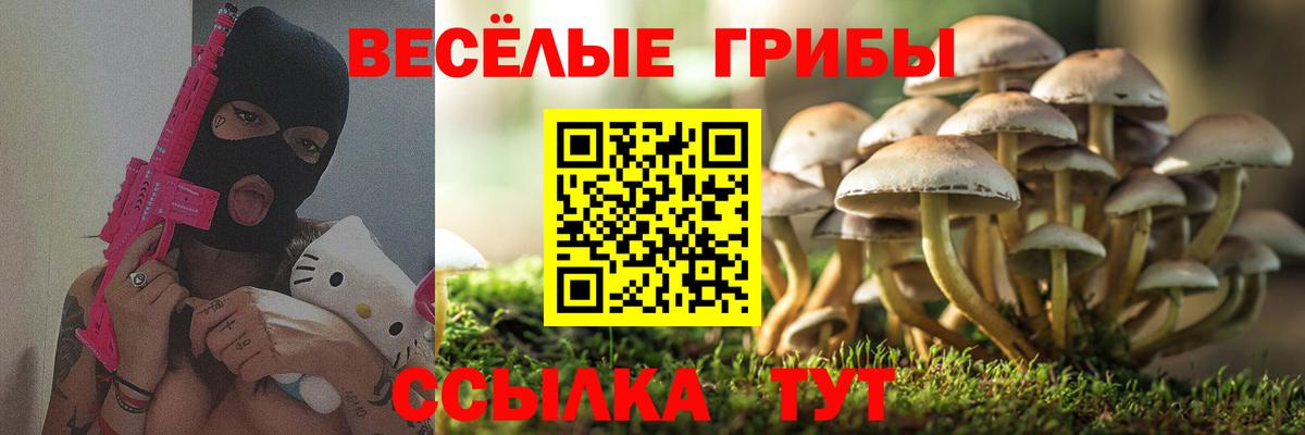 Салават  Галлюциногенные грибы GOLDEN TEACHER  Вход с VPN  Псилоцибиновые грибы мицелий 