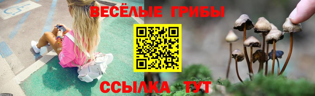 Галлюциногенные грибы GOLDEN TEACHER Салават